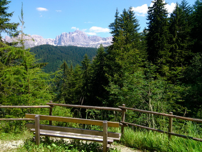 La vista sul gruppo del Catinaccio dalla strada forestale